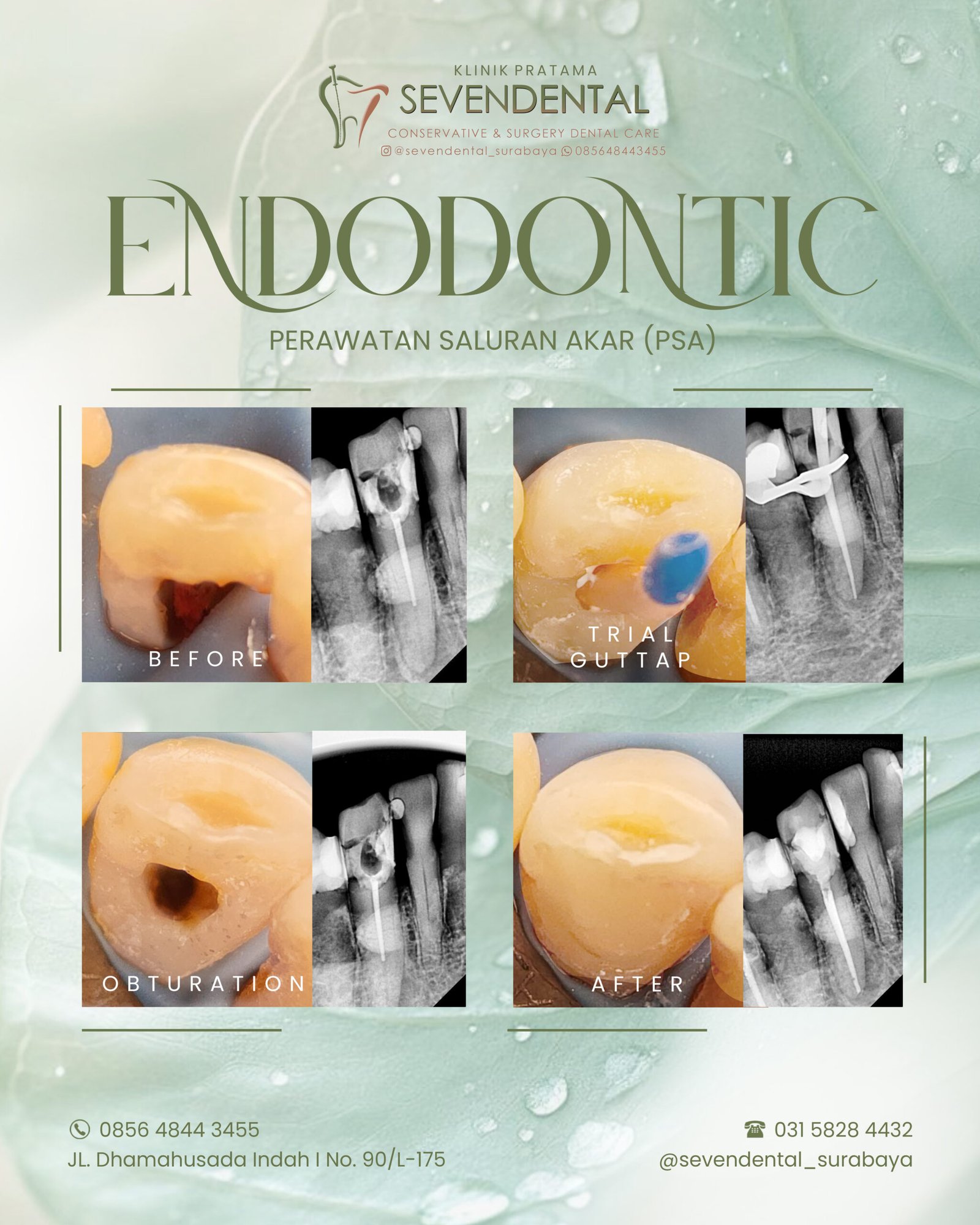 PSA IG NY LOE SIOE MING- FEED IG MINGGU